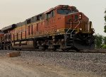 BNSF 8137